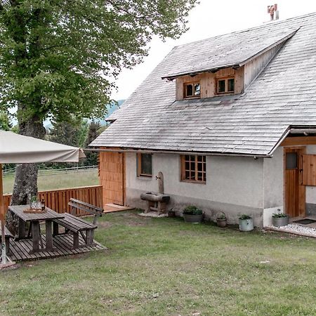 Holiday House Franc Srednja Vas v Bohinju エクステリア 写真