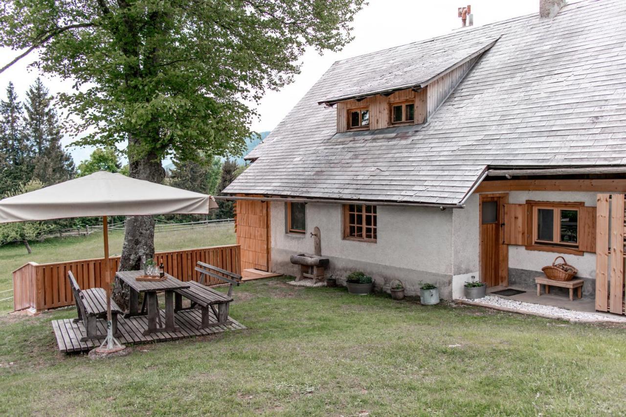 Holiday House Franc Srednja Vas v Bohinju エクステリア 写真