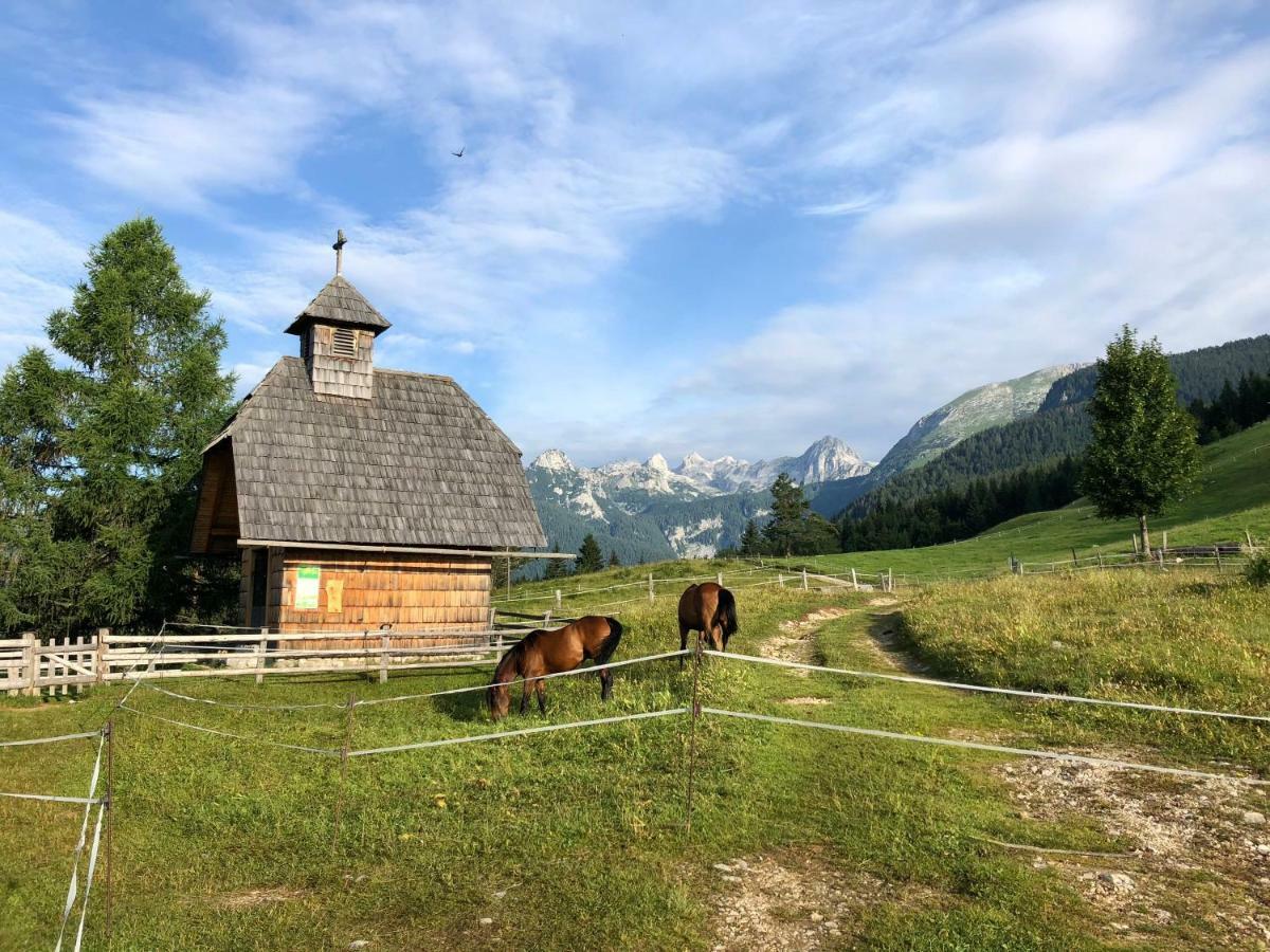 Holiday House Franc Srednja Vas v Bohinju エクステリア 写真